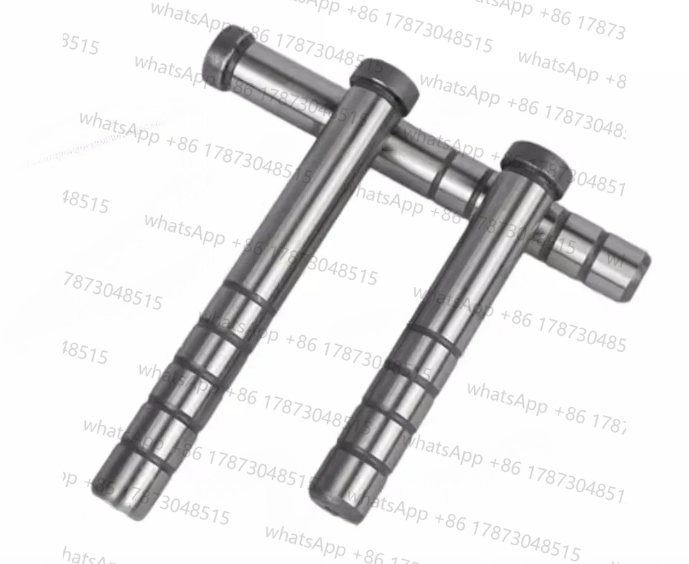 Pilares Guía Internos para Mol - Travel Accessories Guide reseña y precio