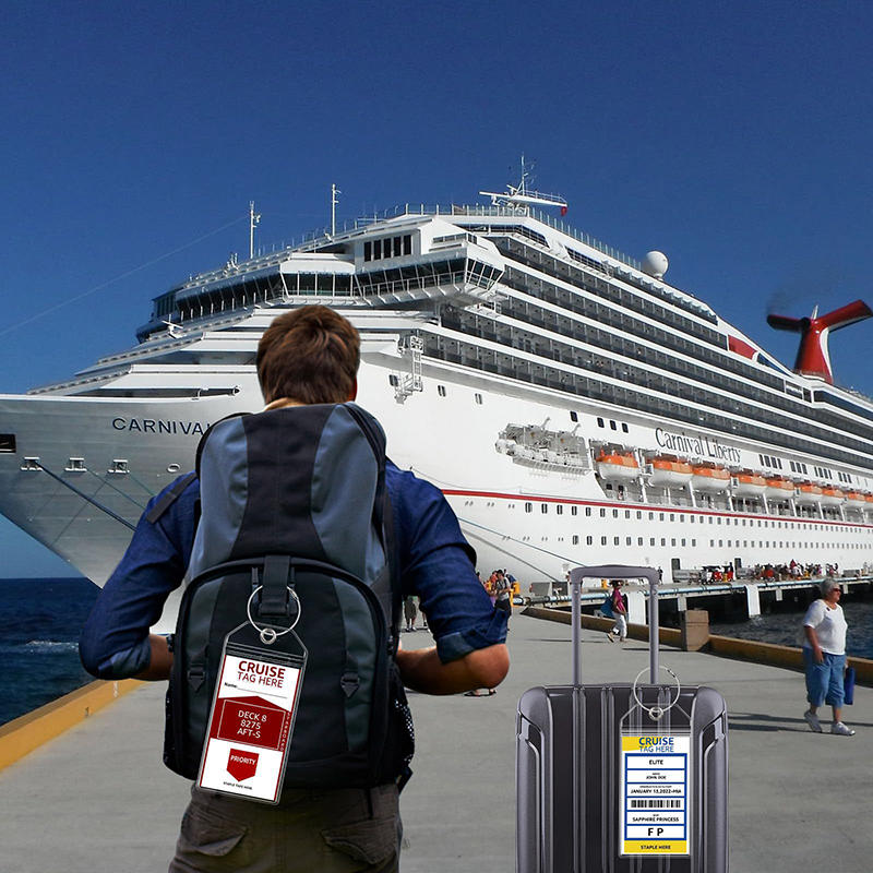 Portatarjetas vertical transpa - Travel Accessories List reseña y precio